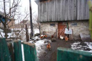Будинок для зйомок. Троєщина
