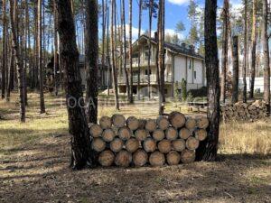 Будинок для зйомок. Буча
