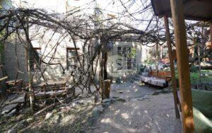 Чайна для зйомок. Поділ
