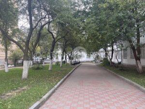 Різне для зйомок. Університет